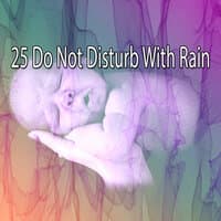 25 Do Not Disturb with Rain