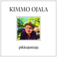 Pikkujuttuja