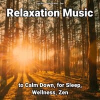 Relaxation Music to Calm Down, for Sleep, Wellness, Zen