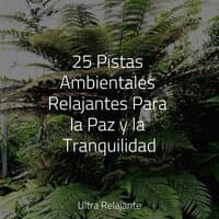 25 Pistas Ambientales Relajantes Para la Paz y la Tranquilidad