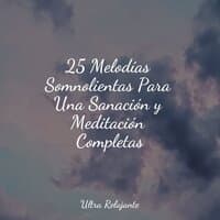 25 Melodías Somnolientas Para Una Sanación y Meditación Completas