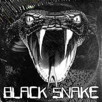 Black Snake