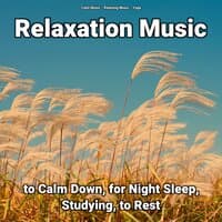 Relaxation Music to Calm Down, for Night Sleep, Studying, to Rest