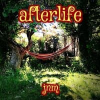 Afterlife