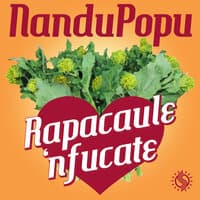 Rapacaule 'nfucate