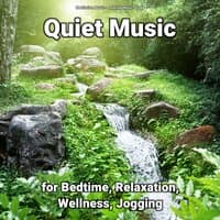 Quiet Music for Bedtime, Relaxation, Wellness, Jogging