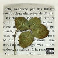 444leafclover