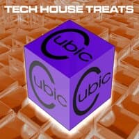 Cubic Tech House Treats, Vol. 22