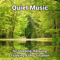 Quiet Music for Sleeping, Relaxing, Studying, Every Situation