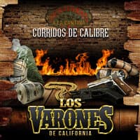 Corridos De Calibre