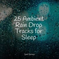 25 Ambient Rain Drop Tracks for Sleep