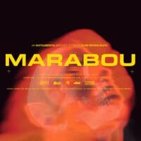 Marabou