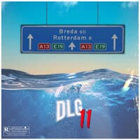 Dlg 11