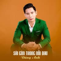 Sài Gòn Trong Nỗi Đau