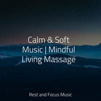 Calm & Soft Music | Mindful Living Massage