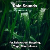 Rain Sounds for Relaxation, Napping, Yoga, Mindfulness