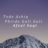 Tede Ashiq Phirde Gali Gali