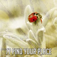 77 Find Your Place