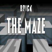 The Maze