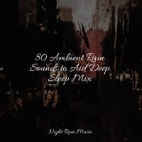 80 Ambient Rain Sounds to Aid Deep Sleep Mix