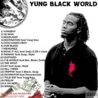 YOUNG BLACK WORLD 1 (2008)