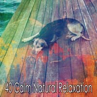 40 Calm Natural Relaxation