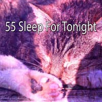 55 Sleep For Tonight