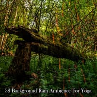 38 Background Rain Ambience For Yoga