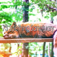 73 Soothing Sanctuary