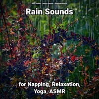 Rain Sounds for Napping, Relaxation, Yoga, ASMR