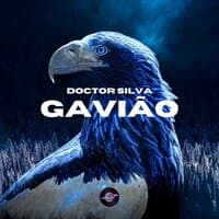 Gavião