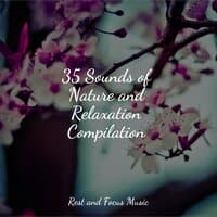 35 Sounds of Nature and Relaxation Compilation