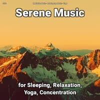 zZZz Serene Music for Sleeping, Relaxation, Yoga, Concentration