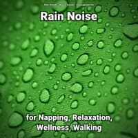 Rain Noise for Napping, Relaxation, Wellness, Walking