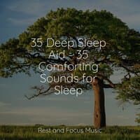 35 Deep Sleep Aid - 35 Comforting Sounds for Sleep