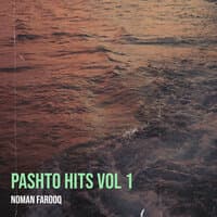 Pashto Hits, Vol 1