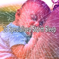 26 Specialised Storm Sleep