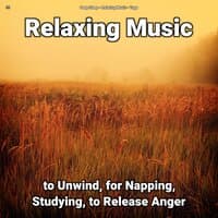 !!!! Relaxing Music to Unwind, for Napping, Studying, to Release Anger