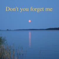 Don´t You Forget Me