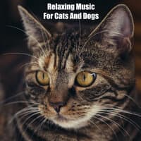 Relaxing Music For Cats And Dogs