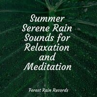 Summer Serene Rain Sounds for Relaxation and Meditation