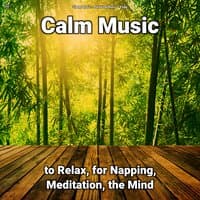 !!!! Calm Music to Relax, for Napping, Meditation, the Mind