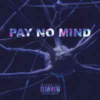 Pay No Mind