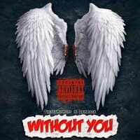 Without You