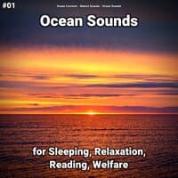 #01 Ocean Sounds for Sleeping, Relaxation, Reading, Welfare