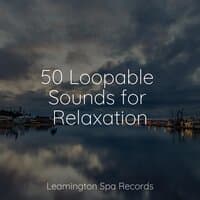 50 Loopable Sounds for Relaxation