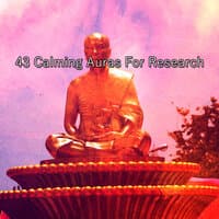 43 Calming Auras For Research