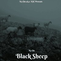 Black Sheep