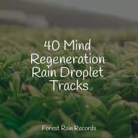 40 Mind Regeneration Rain Droplet Tracks