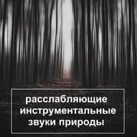 Расслабляющие инструментальные звуки природы